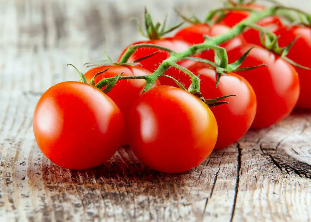 Why Tomatoes Split
