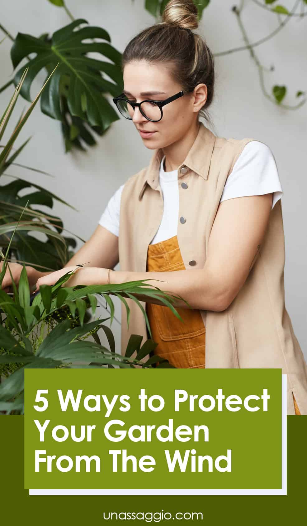 5 Ways to Protect Your Garden From The Wind UnAssaggio