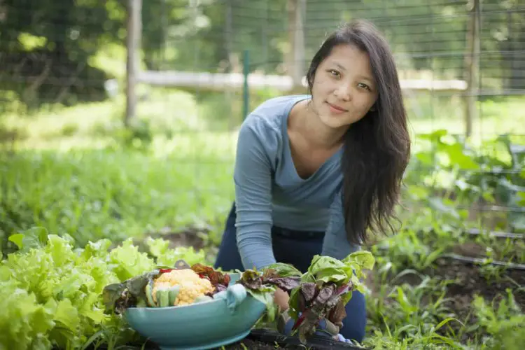 4 Reasons Why Urban Farming Is Encouraged In Developing Countries