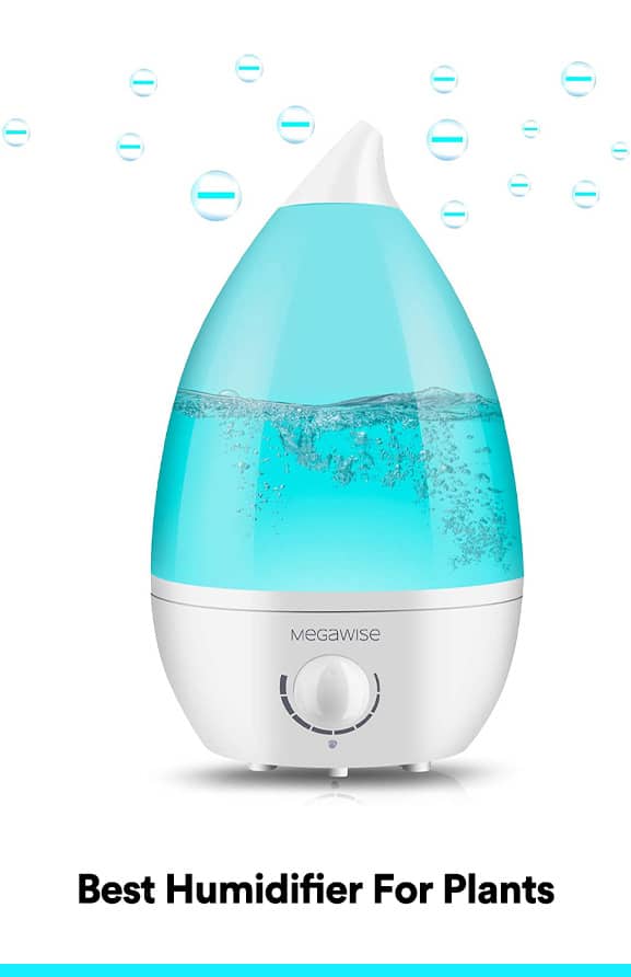 The Best Humidifiers For Grow Tent & Houseplants (2021) UnAssaggio