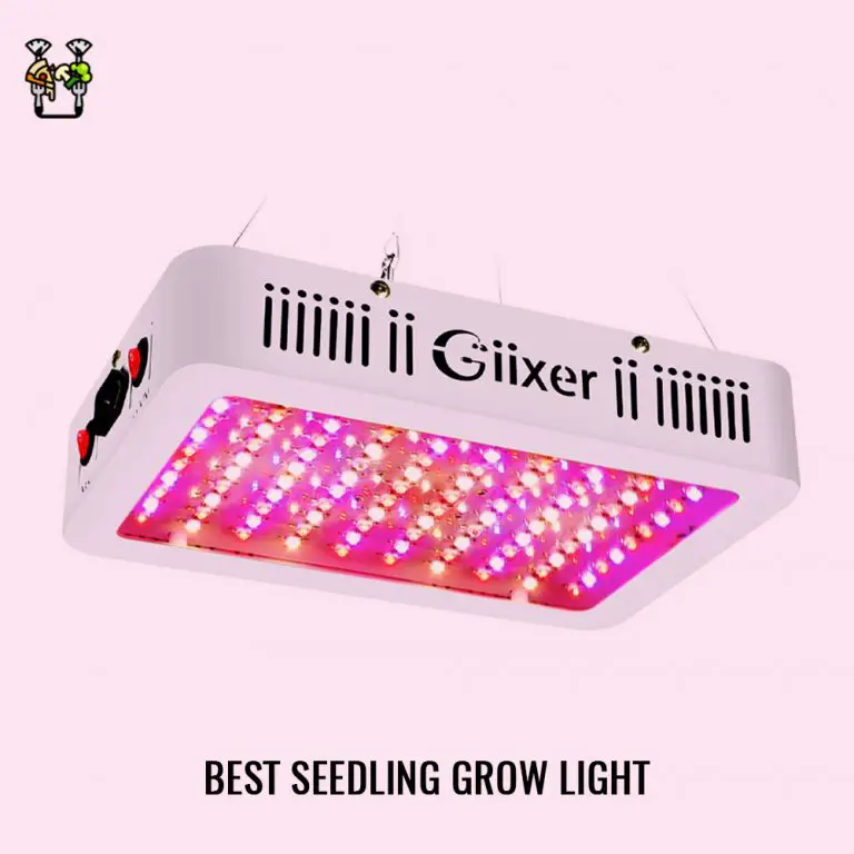 The Best LED Grow Light For Indoor Plants (2021) UnAssaggio