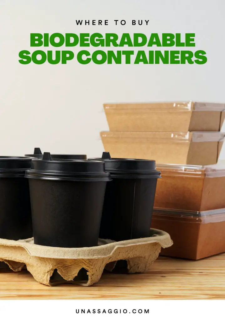 Biodegradable Soup Containers Why & Where to Buy Them UnAssaggio