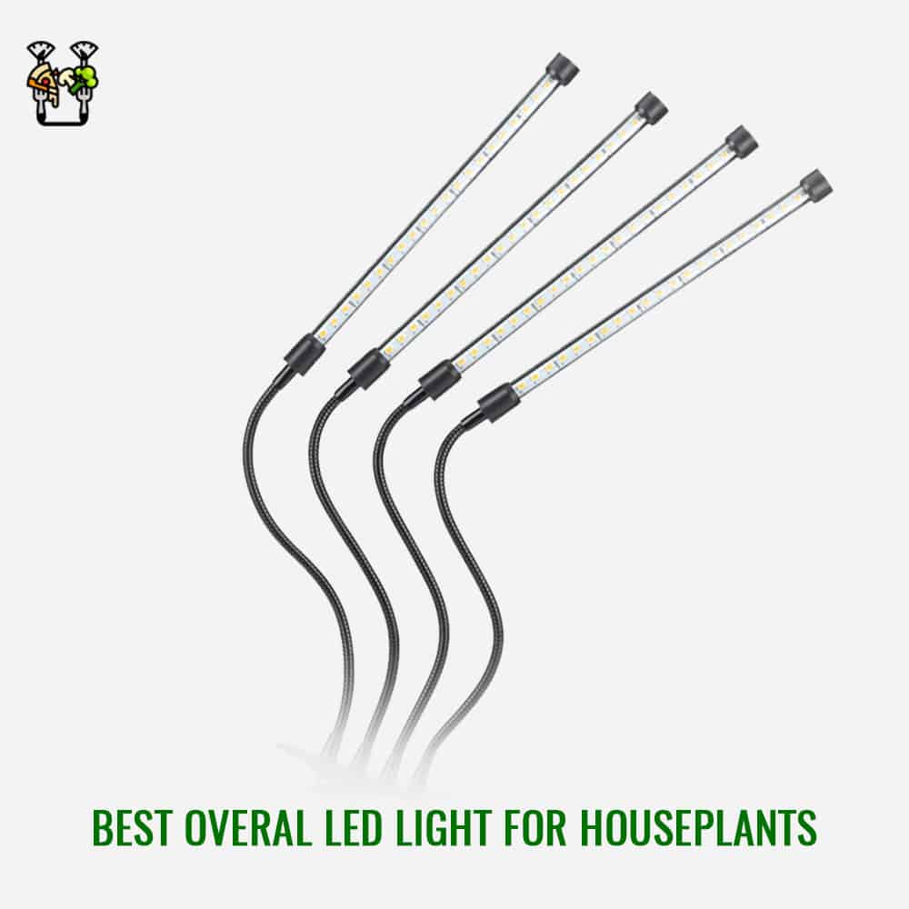 EZORKAS 9 Dimmable Levels Grow Light- Best Overall