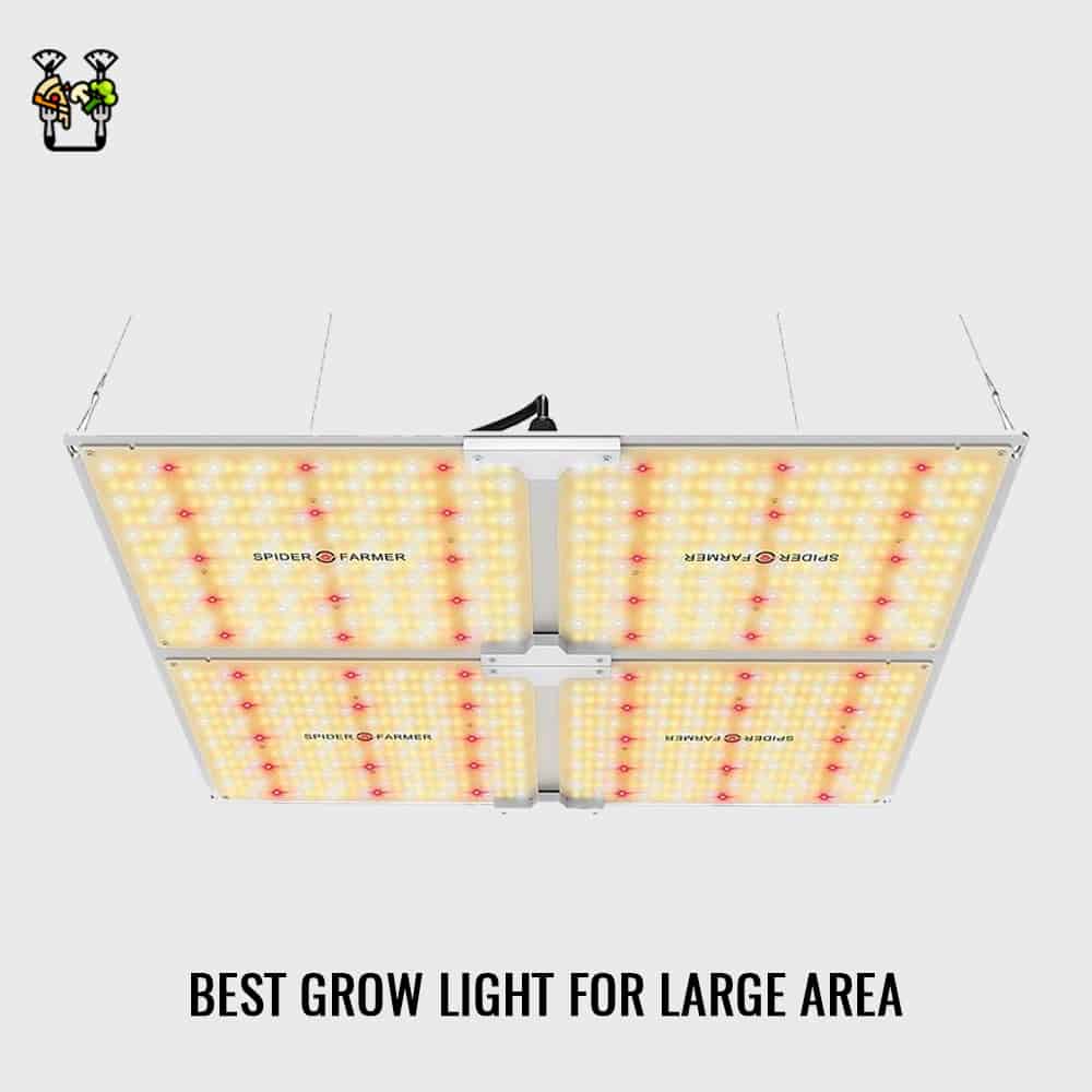 Spider Farmer SF-4000 Grow Light- Best For Large Area