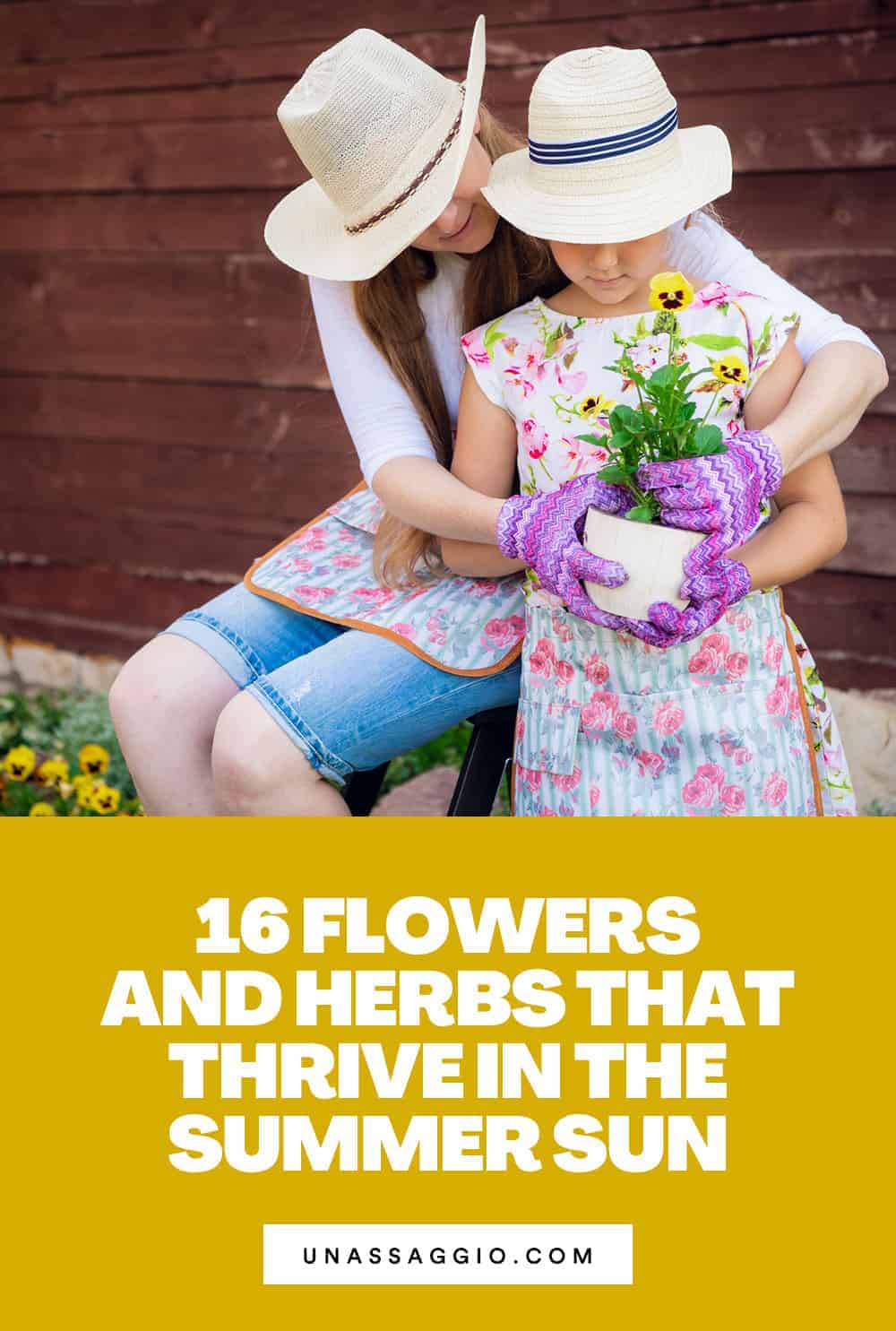 Flowers and Herbs That Thrive In The Summer Sun