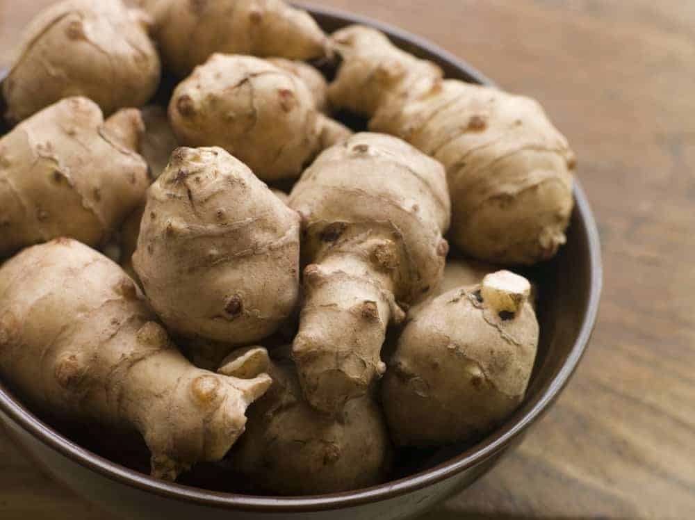 Jerusalem artichokes edible perennial vegetables that grow back every year